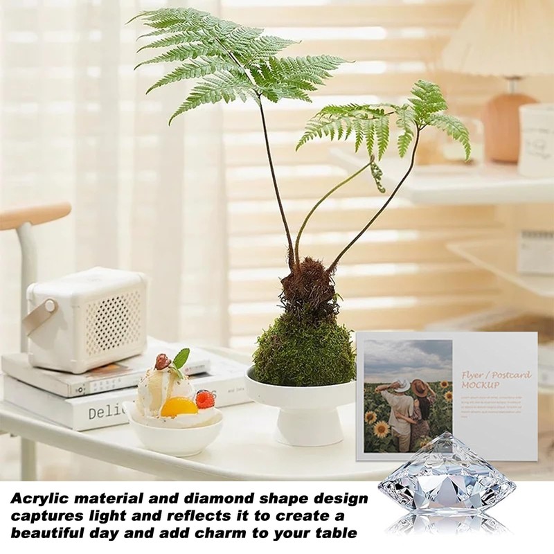 Elegant Christmas Name Place Cards – 24 Pack Acrylic Table