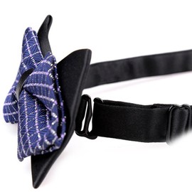 Flairs New York Gentleman's Diamond Pointed Pre-Tied Bow Tie (Metallic Gold Paisley)