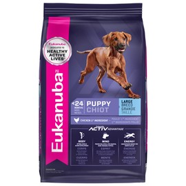 Eukanuba Eukanuba Dry Large Breed Puppy Food, Dry Dog Food for Puppies with Protein, DHA and Vitamins to Support Healthy Growth, 30 lb Bag