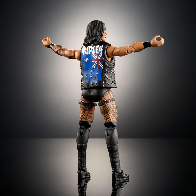 Mattel WWE Elite Action Figure & Accessories, Series #117 6-inch