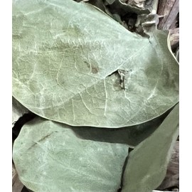 Unbranded Pata de Vaca Cow´s Foot Leaf 8 oz Pezuña de Buey