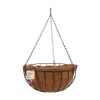 Smart Hanging Basket 12", Multi-Colour, JNS_461641