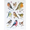 Half a Donkey Popular Garden Birds Large Cotton Tea Towel