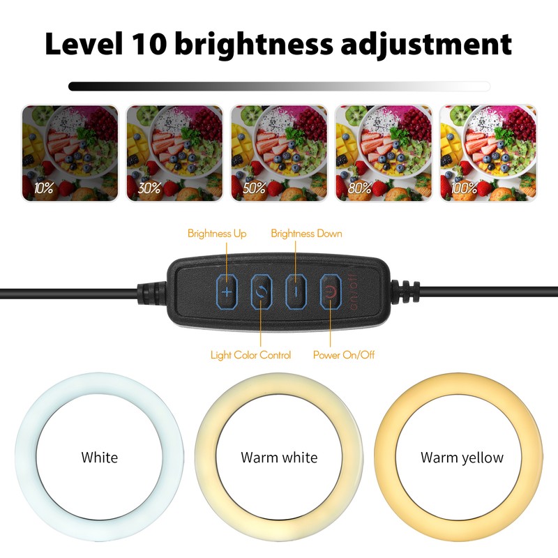 6'' Ring Light for Laptop, Computer Clip Video Fill Light