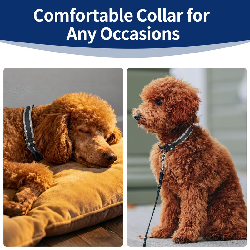 Kazazoo Reflective Dog Collar with Soft Padding Dog Collar for