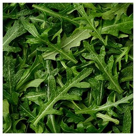 Everwilde Farms - 1 Oz Organic Arugula Herb Seeds - Gold Vault Packet
