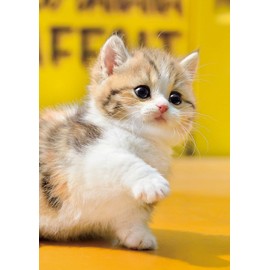 Epoch 108 Piece Jigsaw Puzzle, Hand! 7.2 x 10.0 inches (18.2 x 25.7 cm)