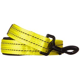 alcott Flexi Essentials Visibility Adventure Pet Leash, Large, Neon Yellow