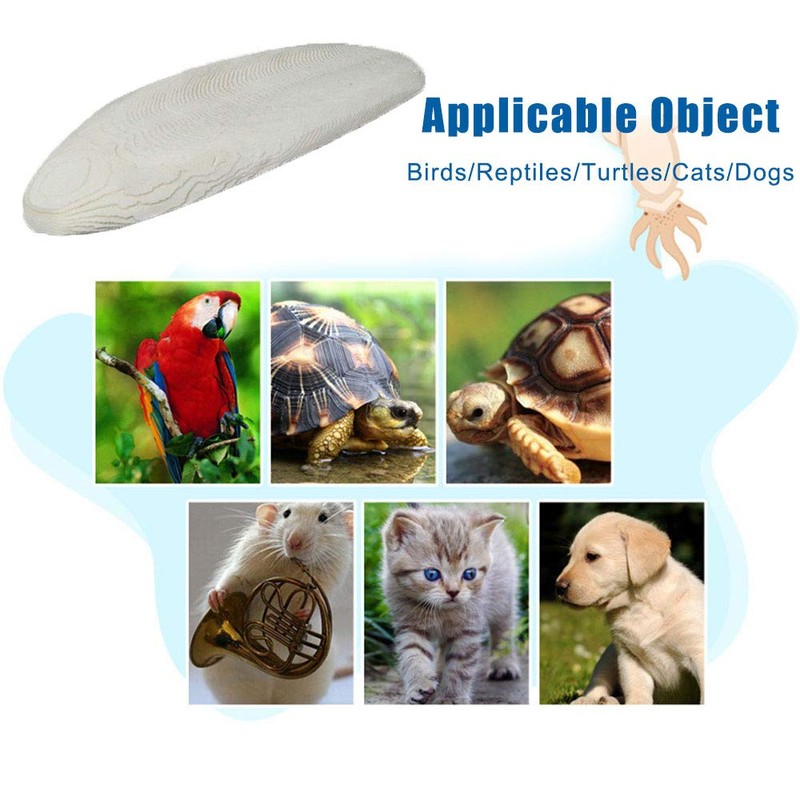 Mivofun 2PCS Natural Cuttlebone for Tortoise Turtles Snails Birds Cockatiels