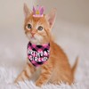 Persoshow Dog Birthday Party Supplies,Dog Birthday Party Hat Bandana with