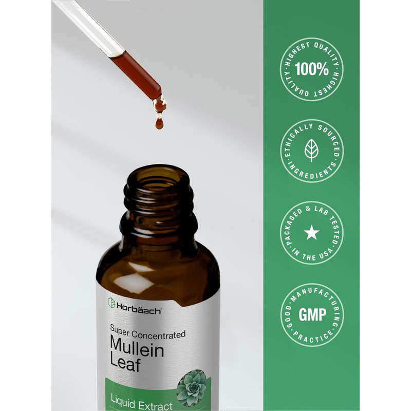 Horbäach Mullein Leaf Extract Drops | 2 fl oz |