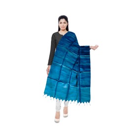 Double Dog Food Bowls Stainless Steel Pet Water Food Bowls with Non-Spill Silicone Mat for Cats Dogs Rabbits (Serenity Blue)