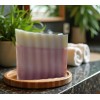 Homemade FIVE LB BOX Hand Crafted Premium Goat Milk Soap