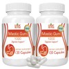 Logic Nutra Mastic Gum Supplement