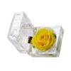 Rosa Eterna De Flores Conservadas Con Caja De Regalo Para