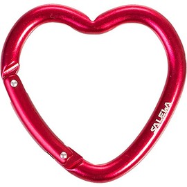 SALEWA Heart Carabiner