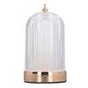 LED Night Light Multipurpose Stylish Innovative Remote Color Changing Crystal