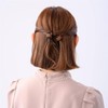 Complex Biz Double Crystal Mesh Whip Clips 2pcs Set (Light