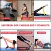 Resistance Bands for Men & Women Set of 5 with