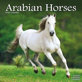 Arabian Horses Calendar 2026 | 12 Month Wall Calendar | Avonside Publishing | Plastic Free Packaging