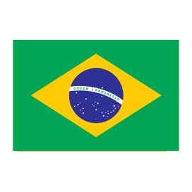 Generic Country Bumper Stickers: USA, Pakistan, India, Brazil, Japan, Israel, UK, Canada, Ukraine, Australia, France, Spain, Italy, Switzerland, South Africa, Libya, Ghana and more (Brazil)