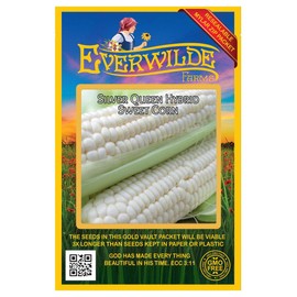 Everwilde Farms - 50 Silver Queen Hybrid Sweet Corn Seeds - Gold Vault Jumbo Seed Packet