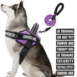 Service Dog Vest Harness and Leash Set, Animire in Training Dog Harness with 10 Dog Patches, Reflective Dog Leash with Soft Padded Handle for Small, Medium, Large, and Extra-Large Dogs (Purple, XL)