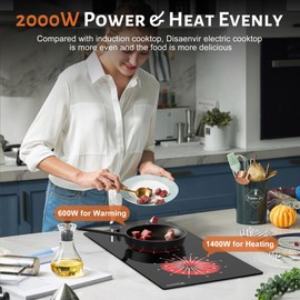 Disaenvir 2 Burner Electric Cooktop - 12 Inch Electric Stove Built-in & Countertop, 120V Portable Two Burners Electrical Stovetop with Knob Control, Over Heat Protection, 9 Power Level, 110V Plug in