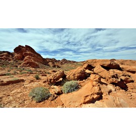 Rock Reptile Habitat Background Reptile Tank Background Mountain Boulder Terrarium Background Blue Sky Rocky Bush Thorns Wilderness Mountain Reptile Terrarium Background Bearded Background 30x18in
