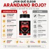 Suplemento Arándanos Rojos Armor For Health 100 Cápsulas 500mg