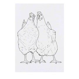 'Pair Of Chickens' Temporary Tattoo - Water Resistant, Skin-Safe, Non-Toxic Transfer (TO00066535)