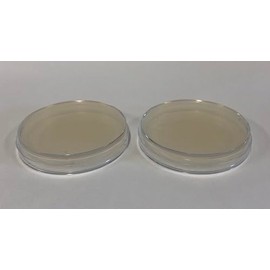 Prepoured Agar Plate Petri Dishes Growing Kit Science Projects Supplies Culture Dishes for School Science Seedling 9CM (2)