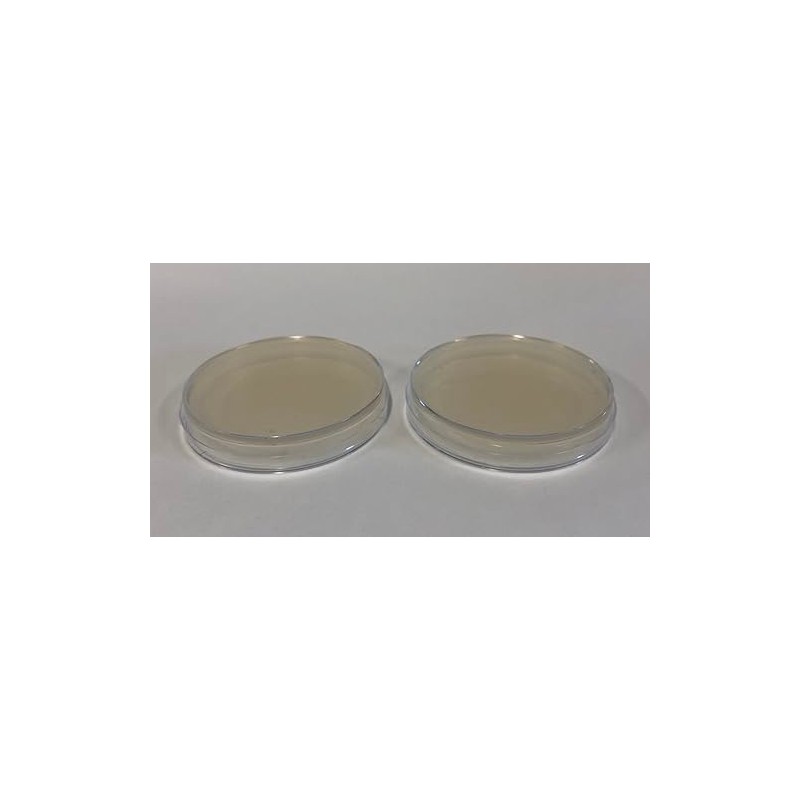 Prepoured Agar Plate Petri Dishes Growing Kit Science Projects Supplies