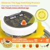 Quail Egg Incubator for Hatching 40 Quail Eggs with Automatic