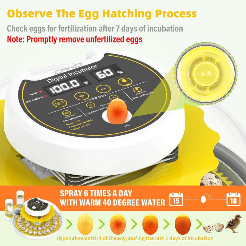 Quail Egg Incubator for Hatching 40 Quail Eggs with Automatic