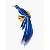 AVES DEL PARAISO, FLORES
