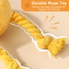 lilfrd Dog Toys for Small Dogs - 2 Pack Squeaky