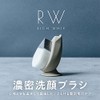 Rich Whip Brush SHINKA Deep Facial Cleansing Brush SPV71407 SHOBIDO