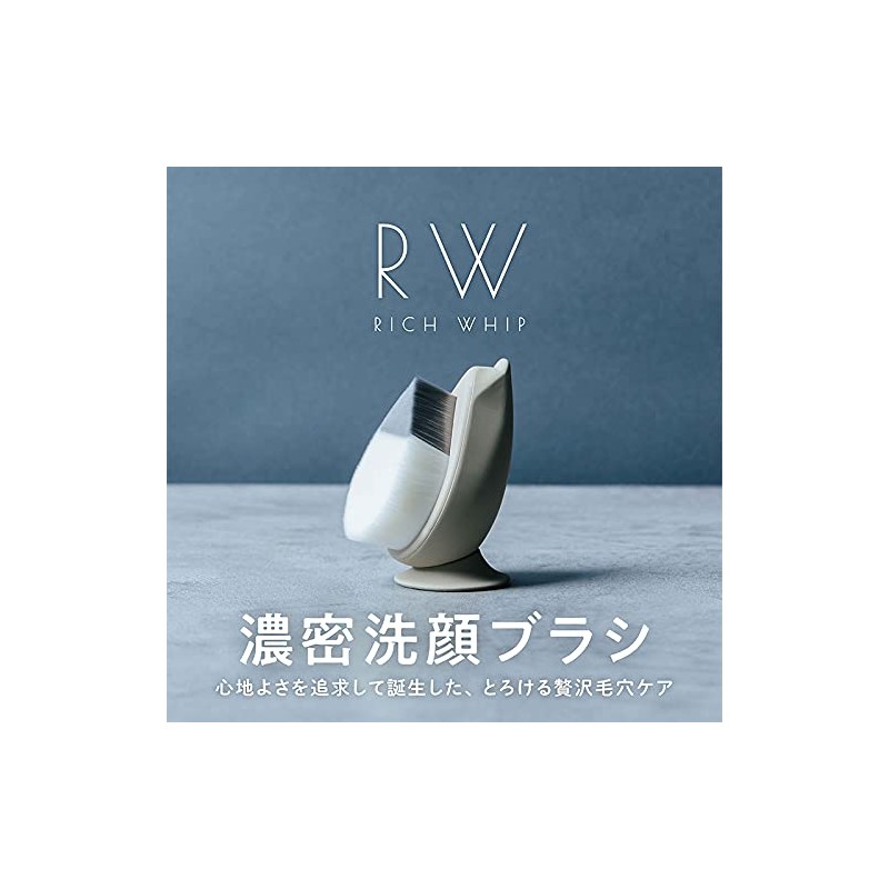 Rich Whip Brush SHINKA Deep Facial Cleansing Brush SPV71407 SHOBIDO