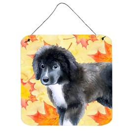 Caroline's Treasures Newfoundland Puppy Fall Metal Print, 6h x 6w, Leaves
