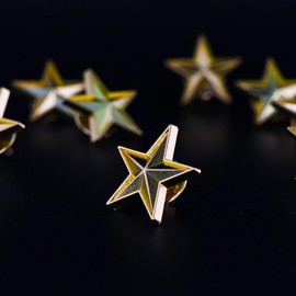 3D Star Lapel Pin – Available in Bronze, Silver, and Gold Finishes (30mm Diameter) (10, Gold)
