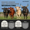 Nutriest Organic Beef Testicle Extract - EU Pasture Holding and