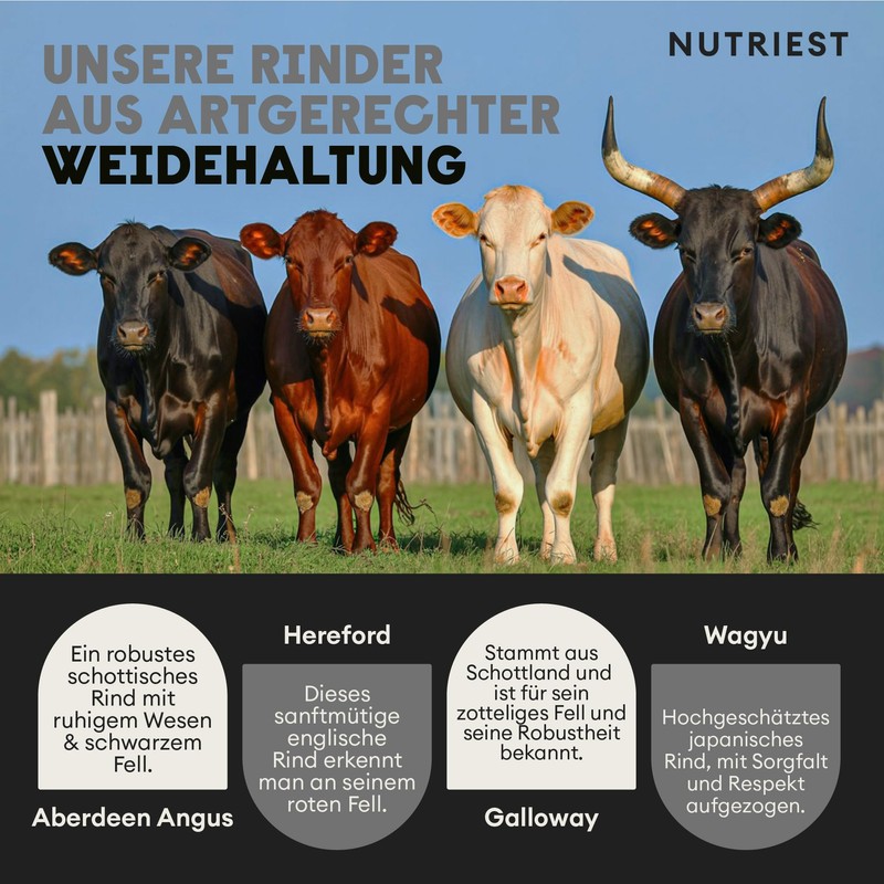 Nutriest Organic Beef Testicle Extract - EU Pasture Holding and