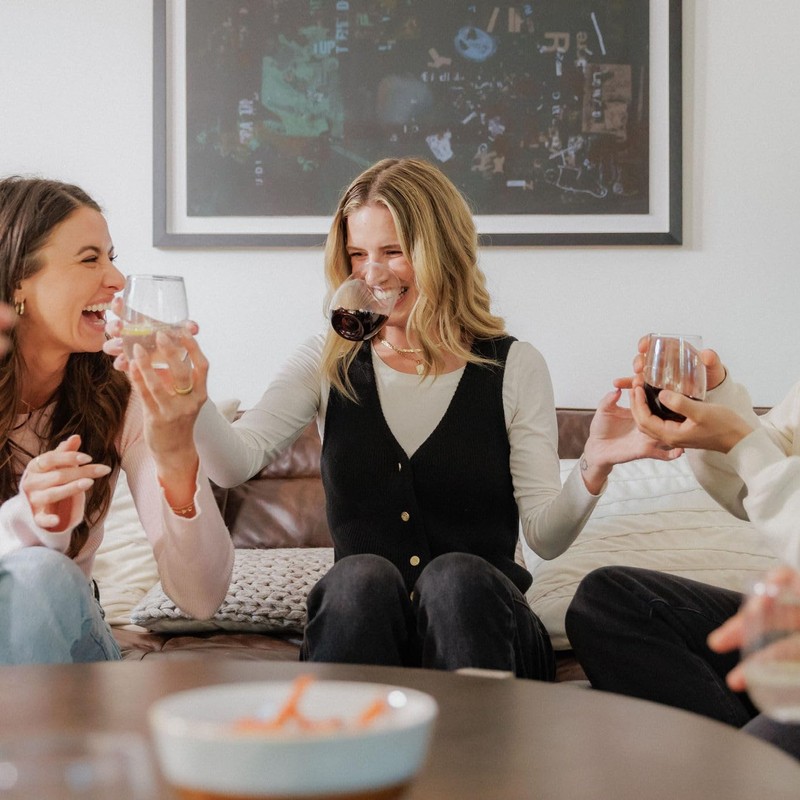 Unbreakable Stemless Wine Glass – Set of 4, 16oz, Dishwasher