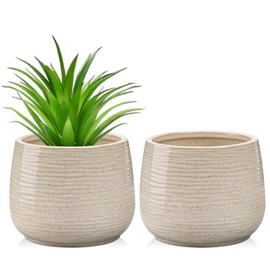 Ceramic Plant Pots 5.3 Inch Set of 2, Flower Plants Pot with Drainage Holes White Planter Garden Pot for Succulent Cactus Home Decoration Gift Indoor Outdoor