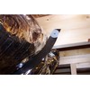 Zip-Ez All-Purpose Insulation Fasteners 250 Fast, Easy, Permanent for HVAC