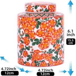 Chinoiserie Blue and White Porcelain Ginger Jar-Chinese Ceramic Storage Jar with Lid-Decorative Blue Jar for Modern and Traditional Homes (Model E)