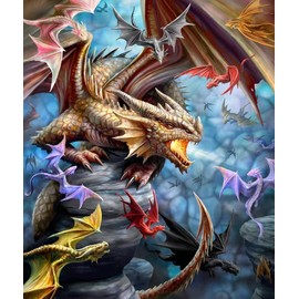 JPI Dragon Blanket, Plush Queen Size Throw, Collage of Dragons, Fantasy, Soft & Warm