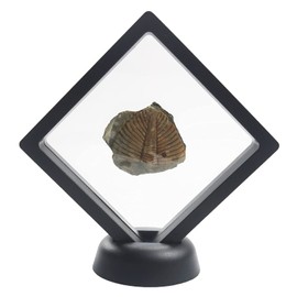 Challenge Coins Display Stand, Medallion Jewelry Specimen Holder, Military Medal Clear Floating Frame Case Box, 3.5"x3.5"x0.8"