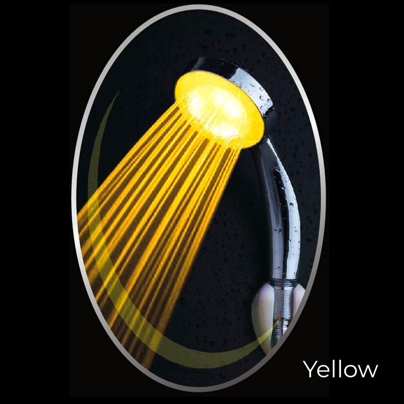 DP bath Handbrause LED, 1 Stück, silber, RY-L010